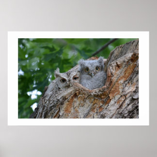 2 little luv birds poster