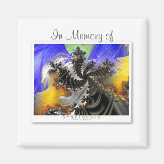 2" Magnet Syneidesis