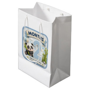 2 Month Baby Milestone World Adventure Medium Gift Bag