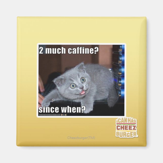 2 much caffine? magnet (Front)