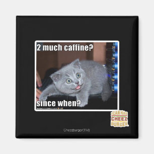 2 much caffine? magnet