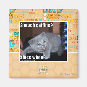 2 much caffine? magnet