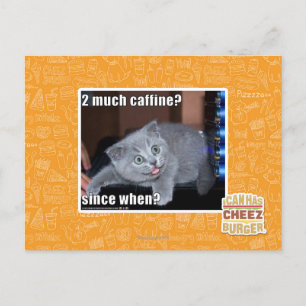 2 much caffine? postcard