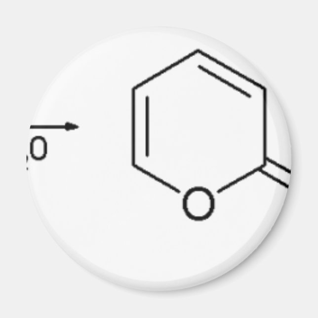2-Pyridone Chemical Synthesis 1 Magnet (Front)