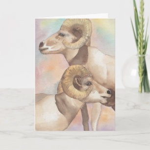 "2 Rams Watercolor Sketch/Arrowhead" Greeting Card
