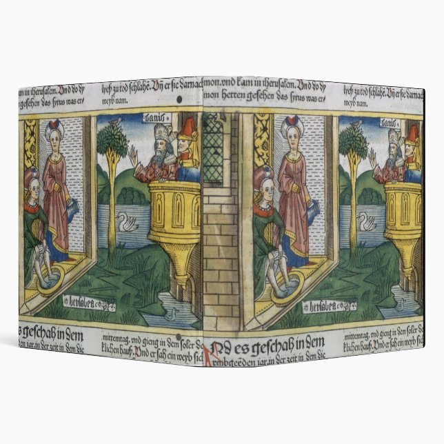 2 Samuel 11 1-5 David sees Bathsheba bathing, from Binder (Background)