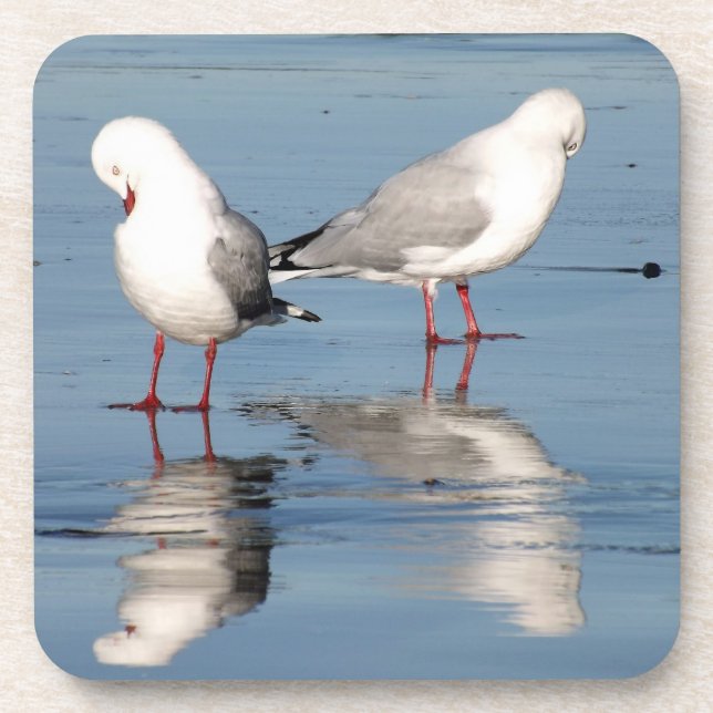 2 Seagulls on a Beach Coaster (Front)