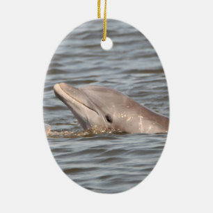 2-sided dolphin ornament