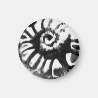 2 sided fossil nautiloid design in   black button magnet