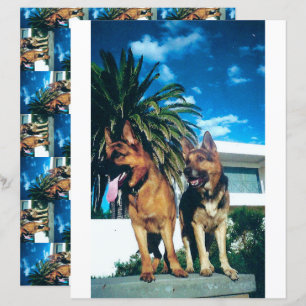 2 sided german shepherd group scrapbook