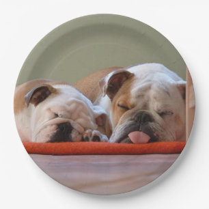 2 sleeping bulldogs.png paper plate