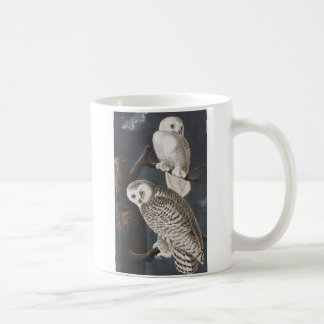2 Snowy Owls Mug