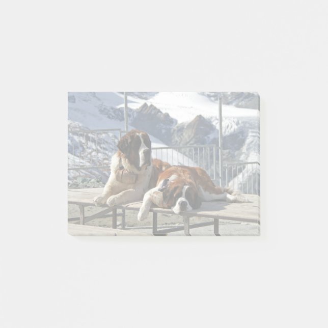 2 St-Bernard posing - Post-it Notes pad (Front)