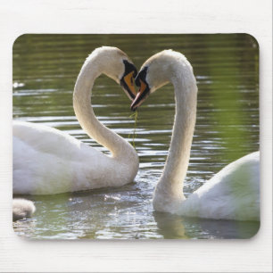 2 Swans on the Water Mouse Pad
