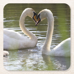 2 Swans on the Water Square Paper Coaster