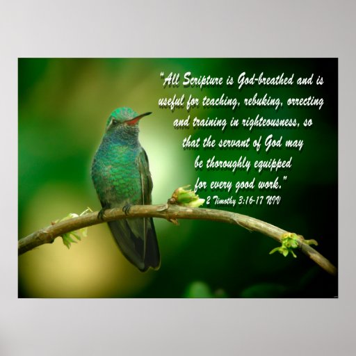 2 Timothy 3:16-17 Christian Poster Hummingbird | Zazzle