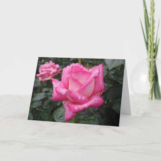 2-Tone Pink Rose Card (Front)