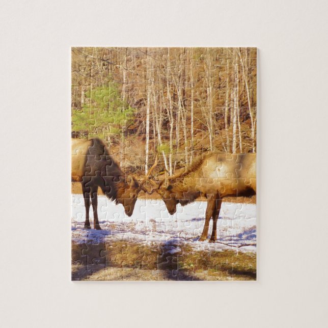 2~ two Bull Elk in the snow Jigsaw Puzzle (Vertical)