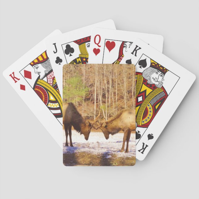 2~ two Bull Elk in the snow Playing Cards (Back)