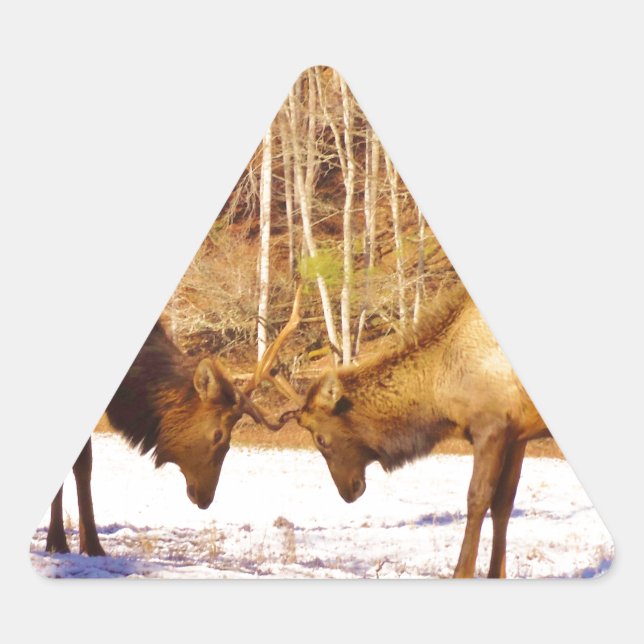 2~ two Bull Elk in the snow Triangle Sticker (Front)