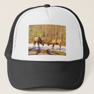 2~ two Bull Elk in the snow Trucker Hat