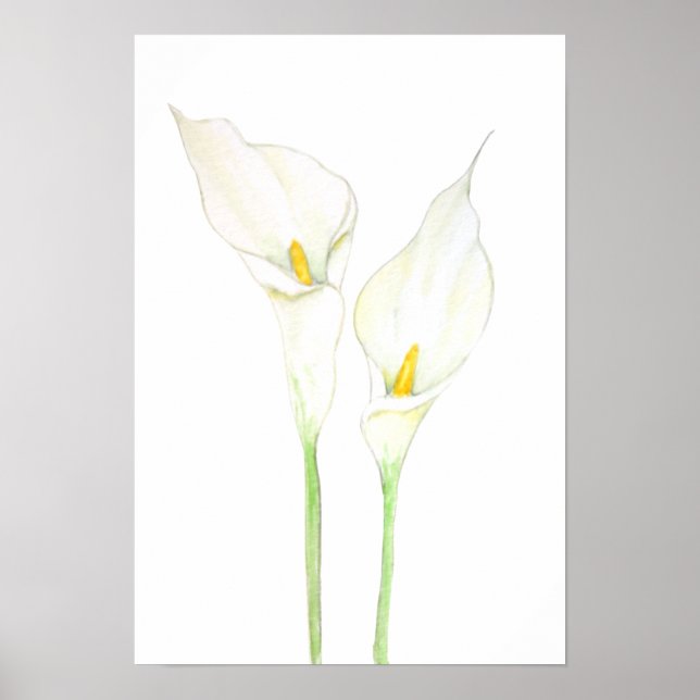 2 white calla lily watercolor poster (Front)