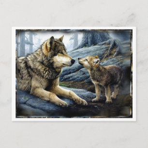2 Wolves Postcard