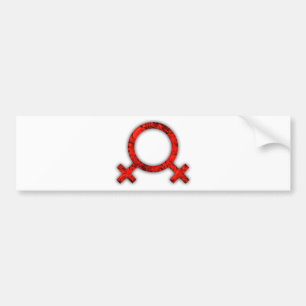 2become1 Lesbian Pride Hotties Bumper Sticker