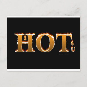 2hot4uFlamingText Postcard