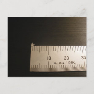 2mm Origami Crane Postcard