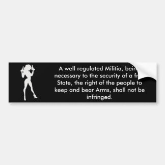 2nd amendment bumper sticker