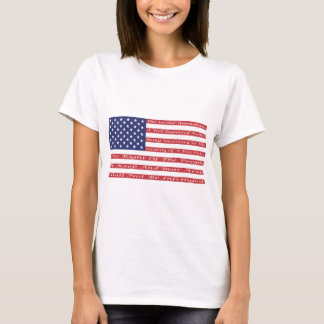 2nd Amendment Flag T-Shirt