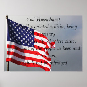 2ND Amendment Poster