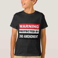 2nd-amendment