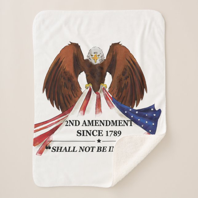 2nd Amendment  Throw Pillow (Front)