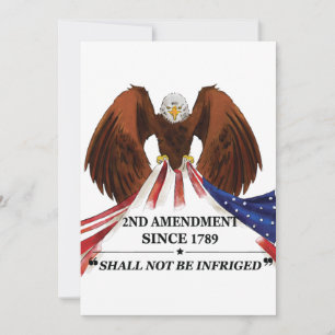 2nd Amendment Throw Pillow Card