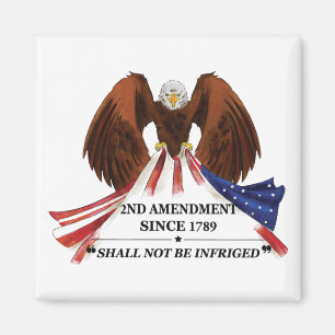 2nd Amendment Throw Pillow Magnet