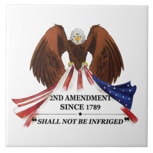2nd Amendment  Throw Pillow Tile