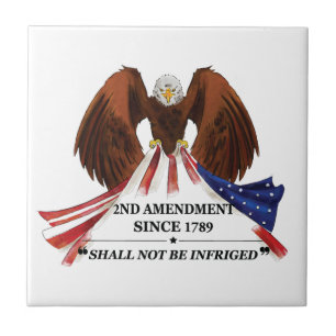 2nd Amendment  Throw Pillow Tile