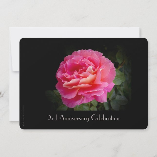 2nd Anniversary Celebration Invitation Pink Rose (Front)