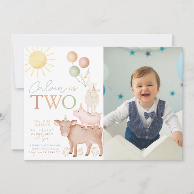  2nd Birthday Farm Animals Barnyard Party Photo Invitation (Front)