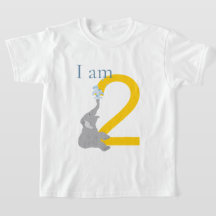 2nd Birthday Modern Minimal Grey Elephant T-Shirt