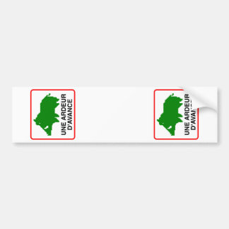 2x STICKER VOITURE SANGLIER ajustables (immatri.)