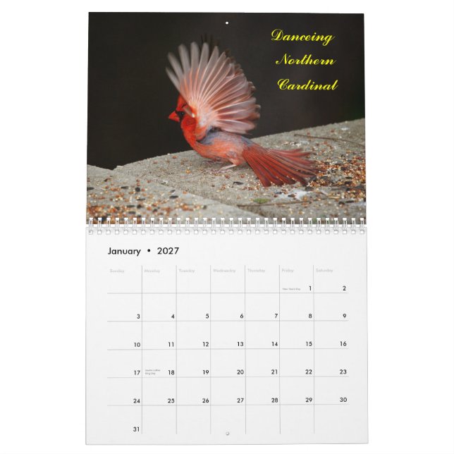 2yr. Oiseaux deplicting de calendrier commençant (Jan 2027)