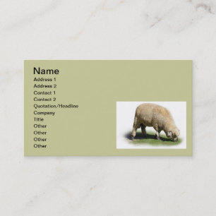 300_2A0019 SHEEP LAMB Grazing farm animals Business Card