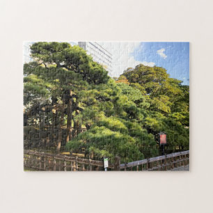 300 Year Old Pine Trees Jigsaw Puzzle