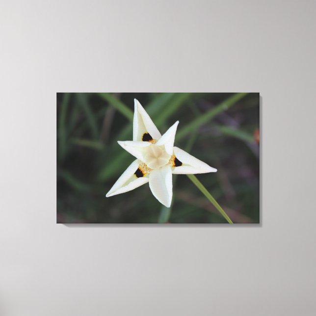 30 avril Toile de Fleur Jardin (Recto)