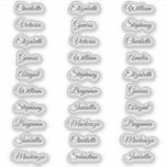 30 Guest first names Calligraphy Elegant script<br><div class="desc">30 Guest first names Calligraphy Elegant script Sticker</div>