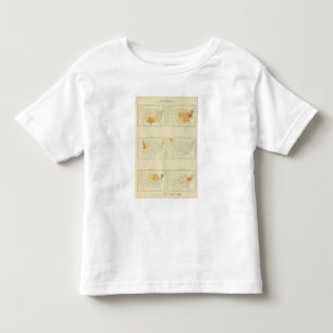 30 Interstate migration 1890 TXWV Toddler T-shirt