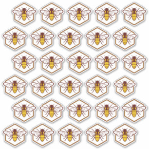 30 Stickers de sécurité Étiquette de nid d'abeille